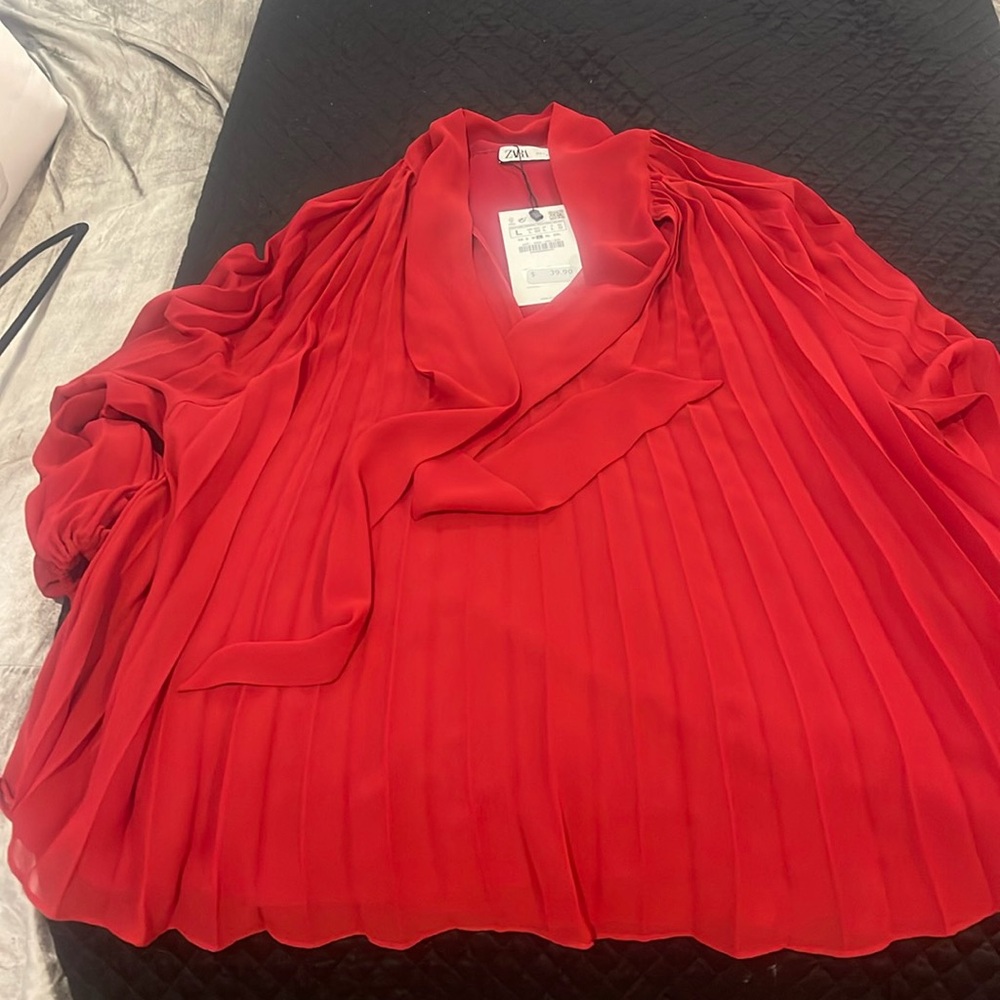 Zara chiffon pleaded blouse